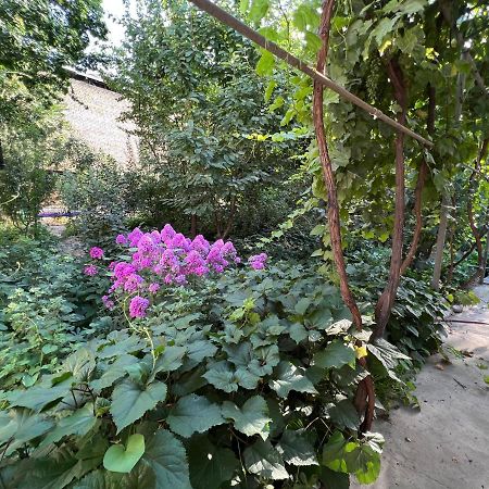 Lovely Home 오쉬 외부 사진