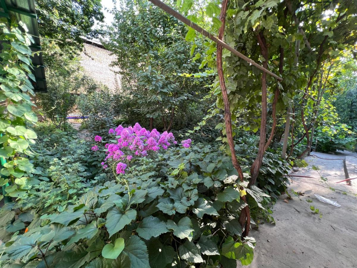 Lovely Home 오쉬 외부 사진